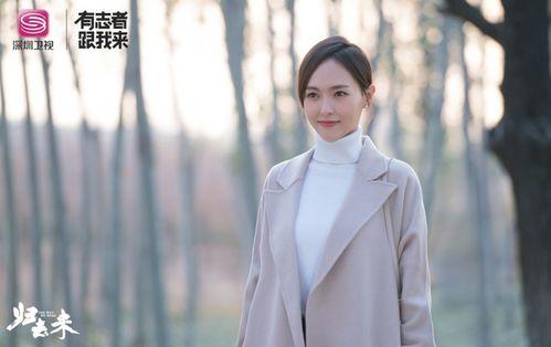 归去来兮电视剧,穿越时空的青春传奇