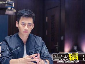 警察锅哥电视剧,正义与智慧的较量